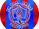 FK Voja Gačić
