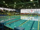 Plivanje: Kup Pančeva 2011