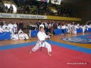 Internacionalni karate turnir