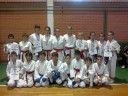 Karate: Pioniri Dinama